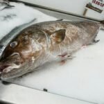 digital marketing for businesses