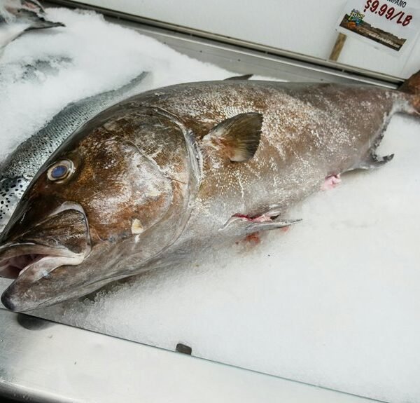 digital marketing for businesses